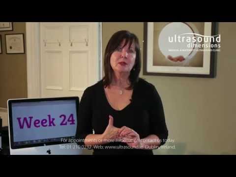 Video: 24 Weeks Pregnant - Fetus, Pain, Abdomen