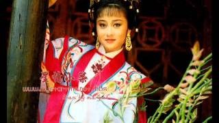 Famous Jet Li's Wife Nina Li Chi! Net Worth