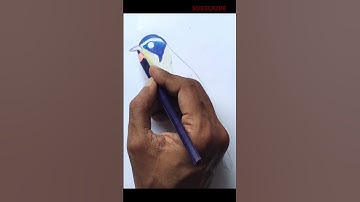 How to Draw a Sparrow Bird easy | Sparrow Drawing | Bird drawing | How to draw Bird | #shorts