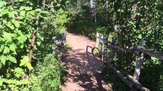 Anne of Green Gables Haunted Woods