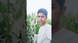 2023 कॉमेडी का बाप । 🤣Suraj rox funny video।😂 Suraj rox tik tok video।suraj rox letest news video