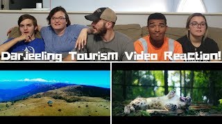 DARJEELING TOURISM OFFICIAL VIDEO Reaction!