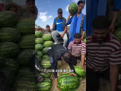 수박 자르기 챌린지 thumbnail