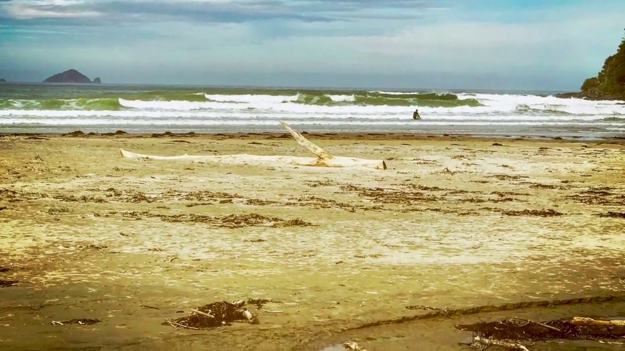 Gemini October 2018 Psychic Tarot Reading