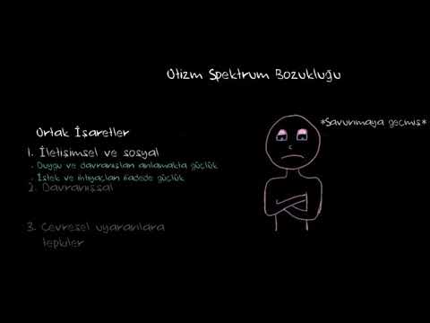 Video: Otistik spektrum nedir?