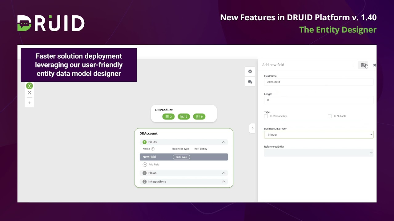 DRUID AI Conversational Platform - Entity Designer