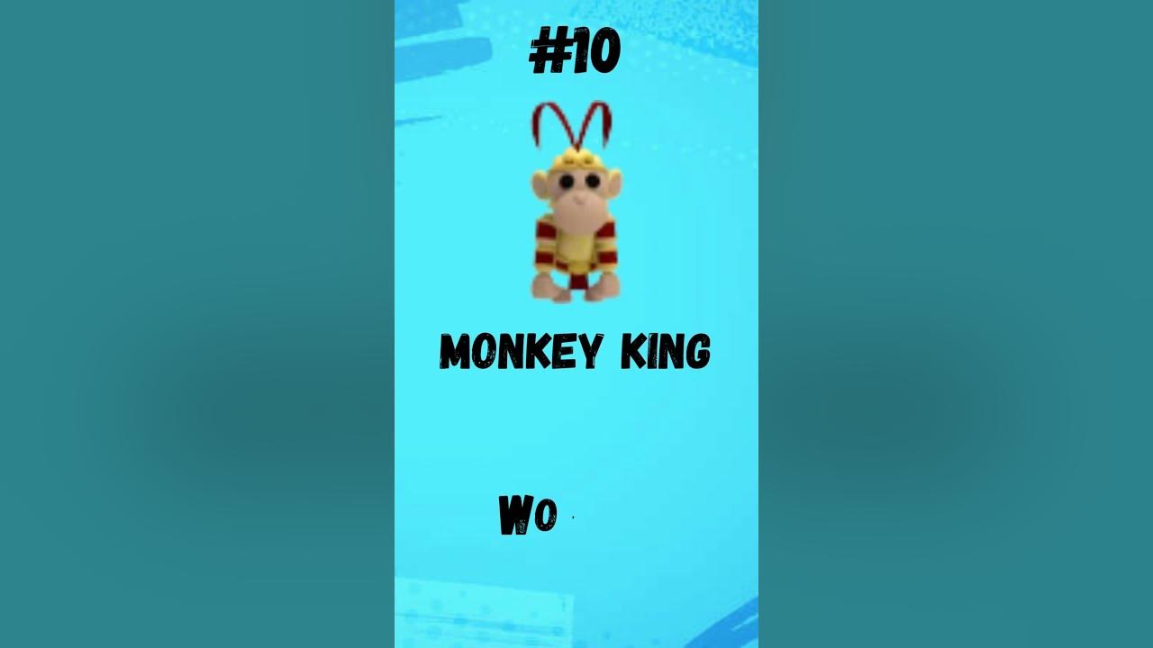 Top 15 Most VALUABLE Pets In Adopt Me! YouTube