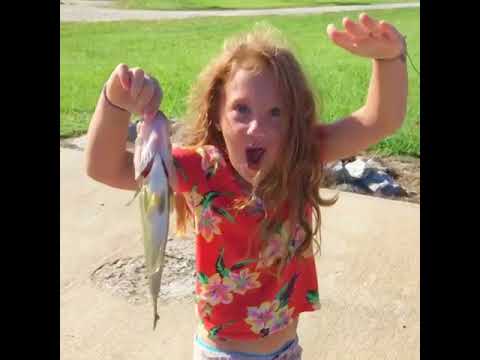 ვიდეო: როგორი თევზის დაჭერა ჯობია
