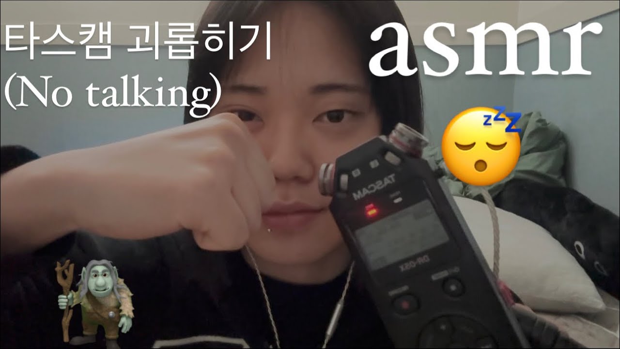 [asmr] 노 토킹 타스캠 빡빡 괴롭히기.
