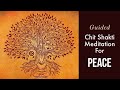 Powerful guided meditation for peace by sadhguru  chit shakti meditation