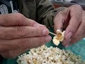 Japonês comendo pipoca