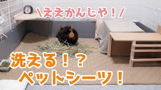 年間２万円節約！？洗えるペットシーツ買ってみた！　I bought washable pet sheets for my guinea pig♪