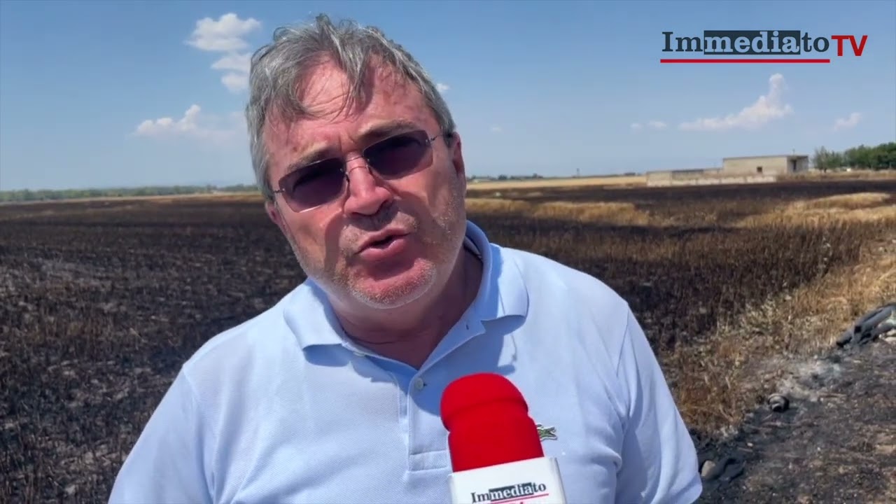 MAFIA FOGGIANA/ TERRENI BRUCIATI A IMPRENDITORE ANTIRACKET LAZZARO D'AURIA: 