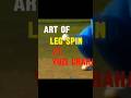 The art of leg spin ft. Yuzi chahal #shortfeed #cricketlove #cricketlove #cricket #yuzi #legspinner