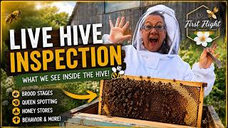 🐝 **Live Hive Inspection | What Do Beekeepers Look for Inside a Honey Bee Hive**