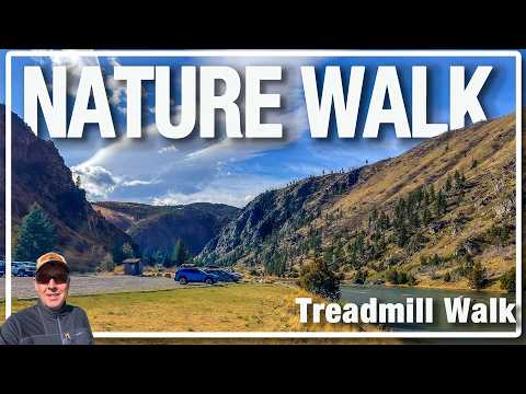 Peaceful Spring Walk in Bear Trap Canyon 🌿 | Along the Madison River near Bozeman, MT [4K]