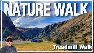 Peaceful Spring Walk in Bear Trap Canyon 🌿 | Along the Madison River near Bozeman, MT [4K]