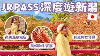 用JR pass玩新潟山形｜高級溫泉飯店、龍蝦和牛鮑魚大餐、彌彥神社賞楓🍁浴衣溫泉街散策👘｜ 留言抽U1手做禮物🎁｜ft. @joytv168 ｜日本有個U1 by 日本有個U1 YuiTube 16,715 views 4 months ago 24 minutes