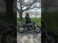 桜とゼファー