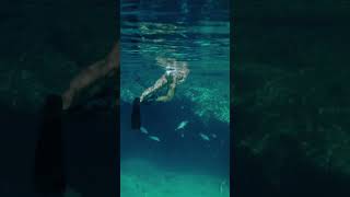 Elba Island A Paradise Suspended Between Sky And Sea.