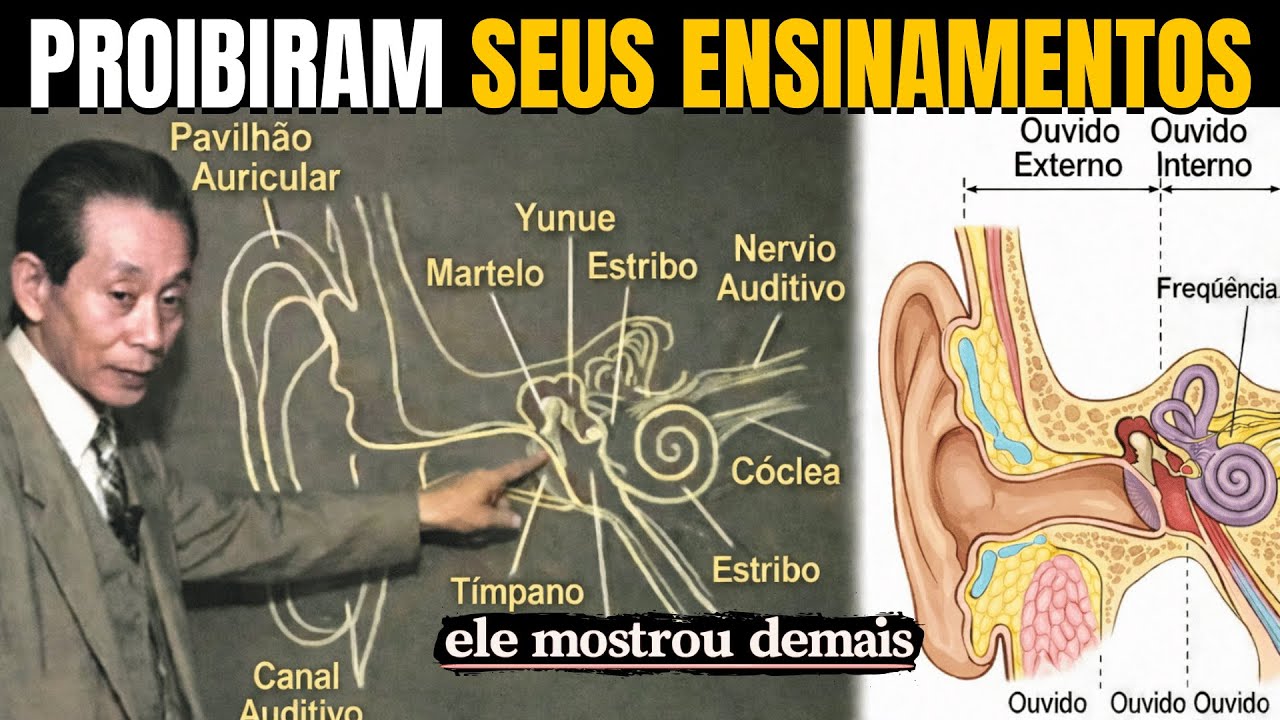 Cientista Japonês: Revela o Porquê do ZUMBIDO nos OUVIDOS (É um Sinal da Mônada)