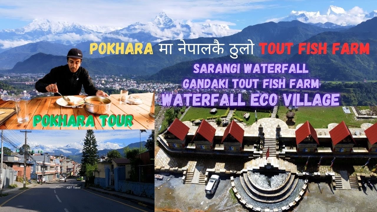 Pokhara मा नेपालकै ठुलो Tout Fish Farm | Gandaki Tout Farm | Waterfall Eco Village | 4k Nepal | Tour