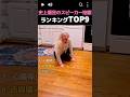 史上最狂のスピーカー地獄!TOP9 #感情爆発, #何これ, #ブチギレ, #草, #やばすぎ, #無理すぎ