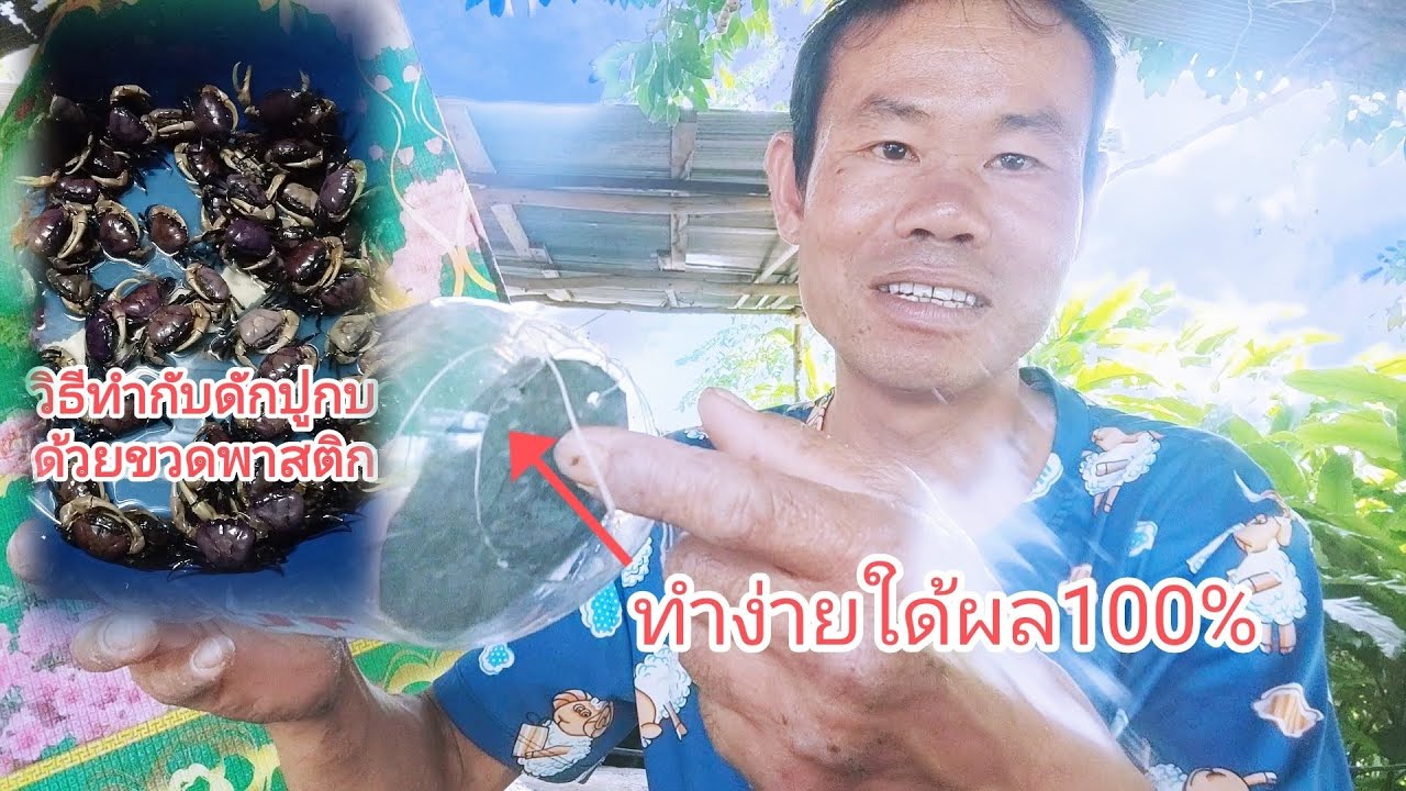 100-how-to-make-a-crab-trap-that-works