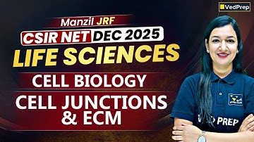 CSIR NET DEC 2025 Life Sciences | Cell Biology: Cell Junctions & ECM | Manzil JRF Series | VedPrep