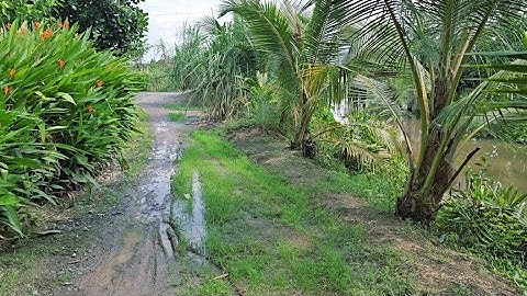 Tập 4128 : Chủ bể nợ - Bán gấp mảnh đất cặp wiew sông(17×23) thổ cư 100m² giá 360 triệu xã long định