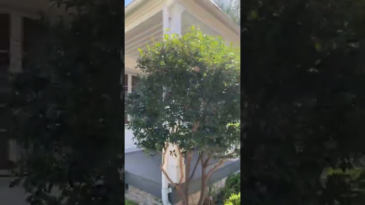 French Legation Historical Site