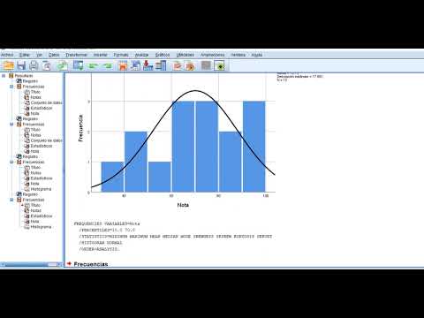 Sesion_1_video 2_curso Spss Basico INEI