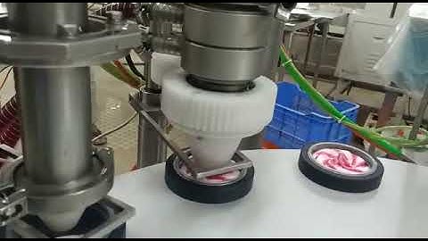 Novelty Cup filling machine with Rotary Filler and II Ripple