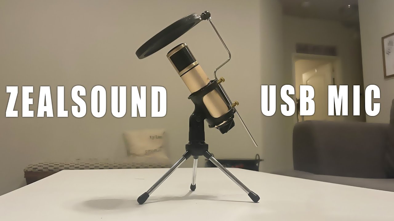 ZealSound USB Mic Review! 