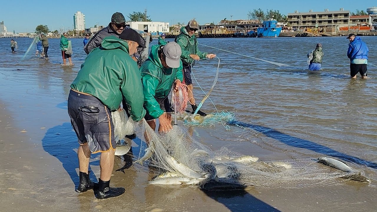Pescas de tarrafas, 29-04-25, Barra de Tramandaí, RS, tainhas gradas! #pescadetarrafa #botos #fish