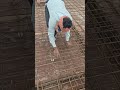 #CivilEngineering#ConstructionLife#SlabCasting#Reinforcement#BuildingConstruction#CivilWork