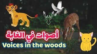 قصة أصوات في الغابة voices in the woods story - Learn Arabic  من قصص الأطفال و الرسوم المتحركة