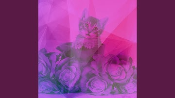 Pulsating Ambiance for Cat Lounging