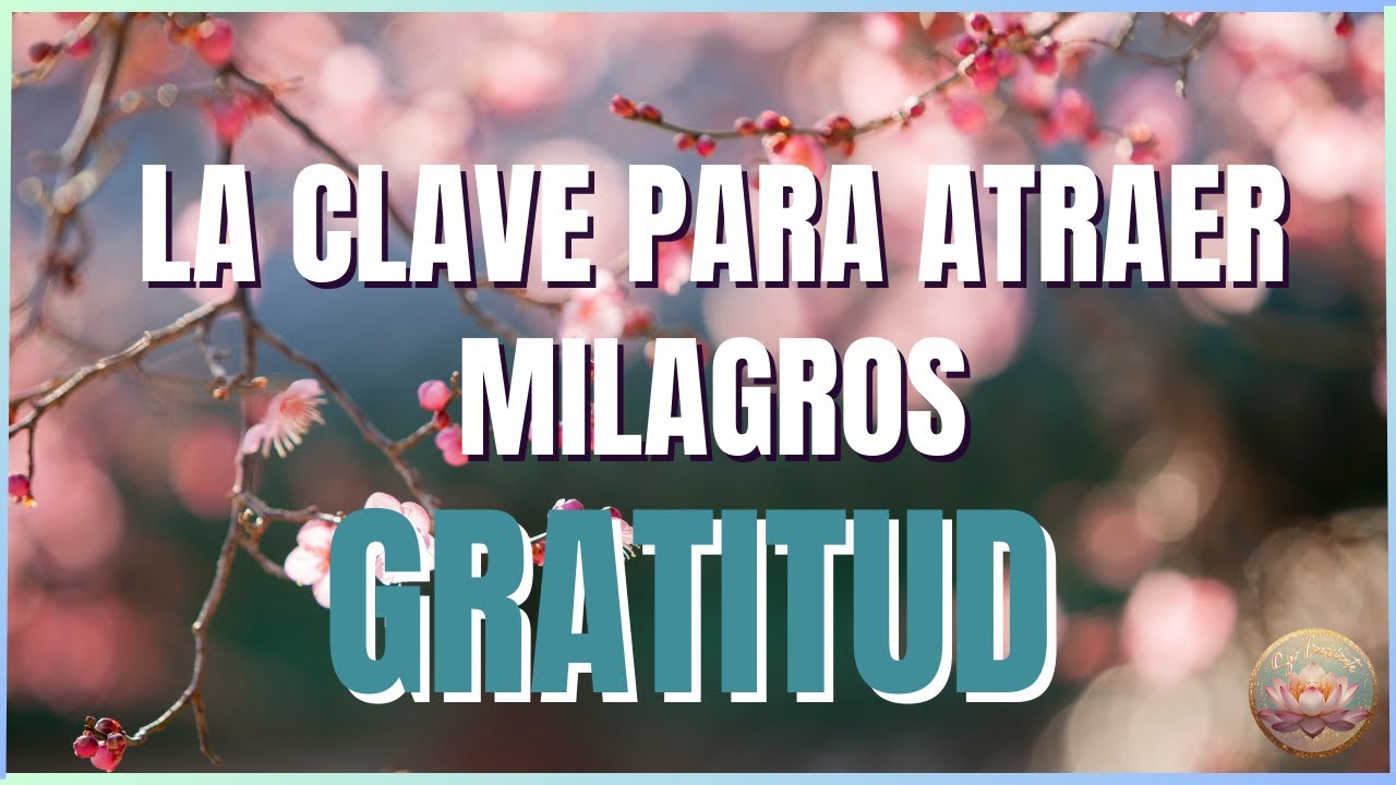 Practicar la GRATITUD Puede Cambiar tu VIDA: Meditación Guiada PODEROSA ...
