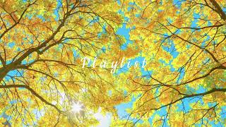 Productivity Flow: 50 Min Relaxing Piano Session | 高效專注心流背景音樂