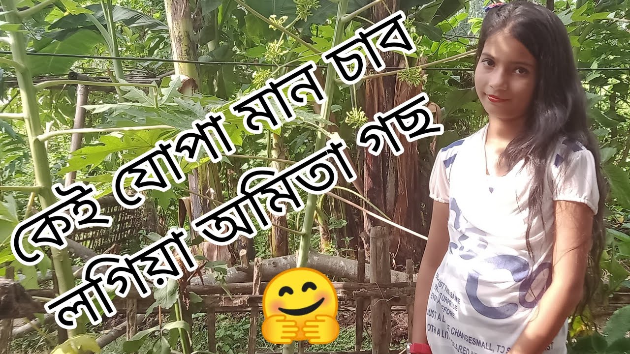কেই যোপা মান অমিতা গছ দেখাম// kei jupa man omita gos dekham //Assamese video//muskan vlogs🤔🤗♥️