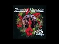 Los Flamers - Flamazo Navideño ( Video Mix )