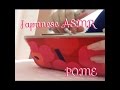 [音フェチ]購入品、ペン、筆箱、雑談(小声)[asmr]