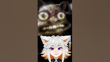 R.E.P.O Game Devs Trolling 💀 #vtuber #repogame #horrorgaming