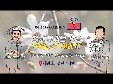 [라이브 정원 토크] 목련 나무 아래서 I KBS 방송