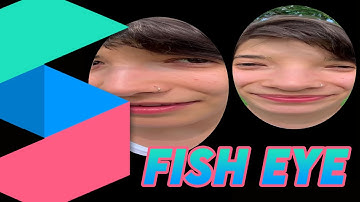 Create an instagram story filter | [FREE] Fisheye effect in Spark Ar Studio