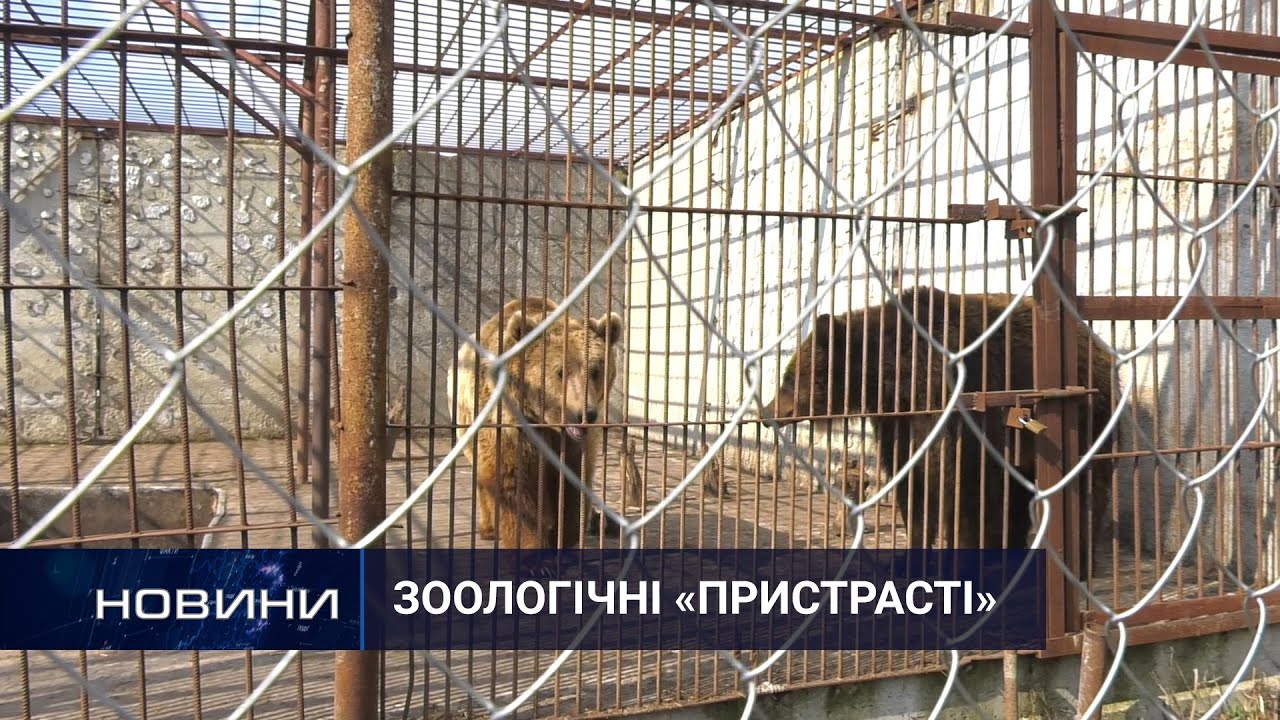 Зооскандал у Хмельницькому. Перший Подільський 30.04.2021
