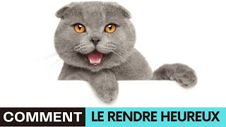 Découvrez 5 Choses à Faire à Son Chat Pour Le Rendre Heureux by Chien Info 95 views 1 month ago 4 minutes, 32 seconds