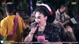 ✅ TAYUB TUBAN 88 - TODAN KUNING /  GANDRUNG NGESTI LARAS NEW.