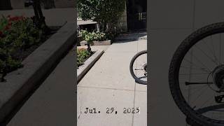 Weak Bonds Jul. 29, 2025